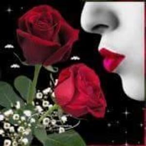 Meet your Posher, Sofia